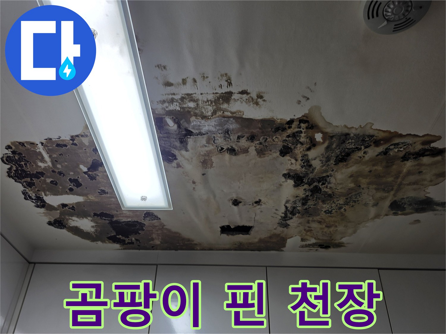 누수로 인해 검게 변한 천장 마감재의 오염 부위