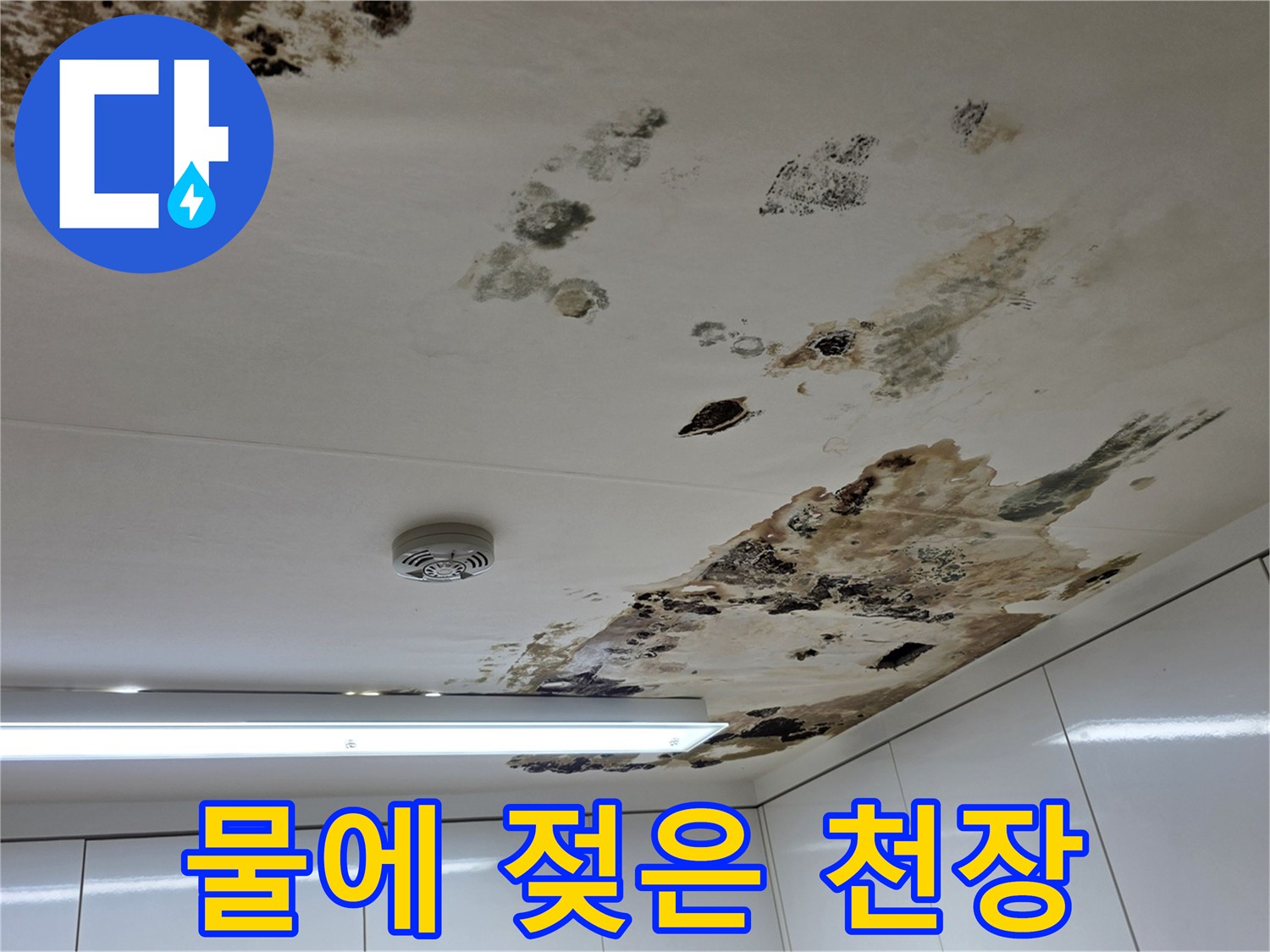 누수로 인해 변색되고 오염된 천장 마감면