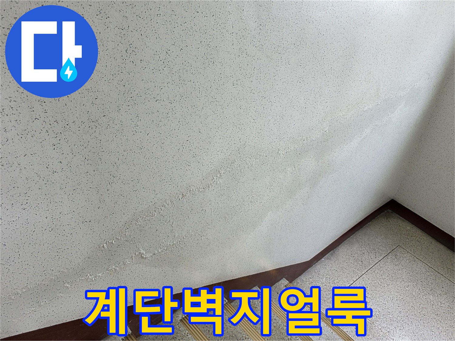 송파구-아파트-계단-벽면-물샘-흔적