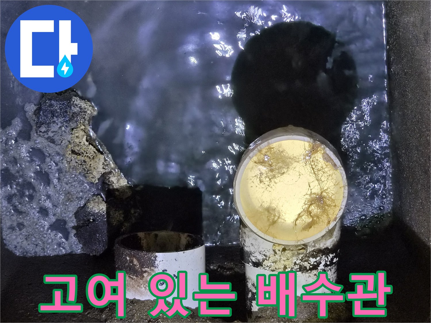 오수가 고여있는 하수관 내부 모습
