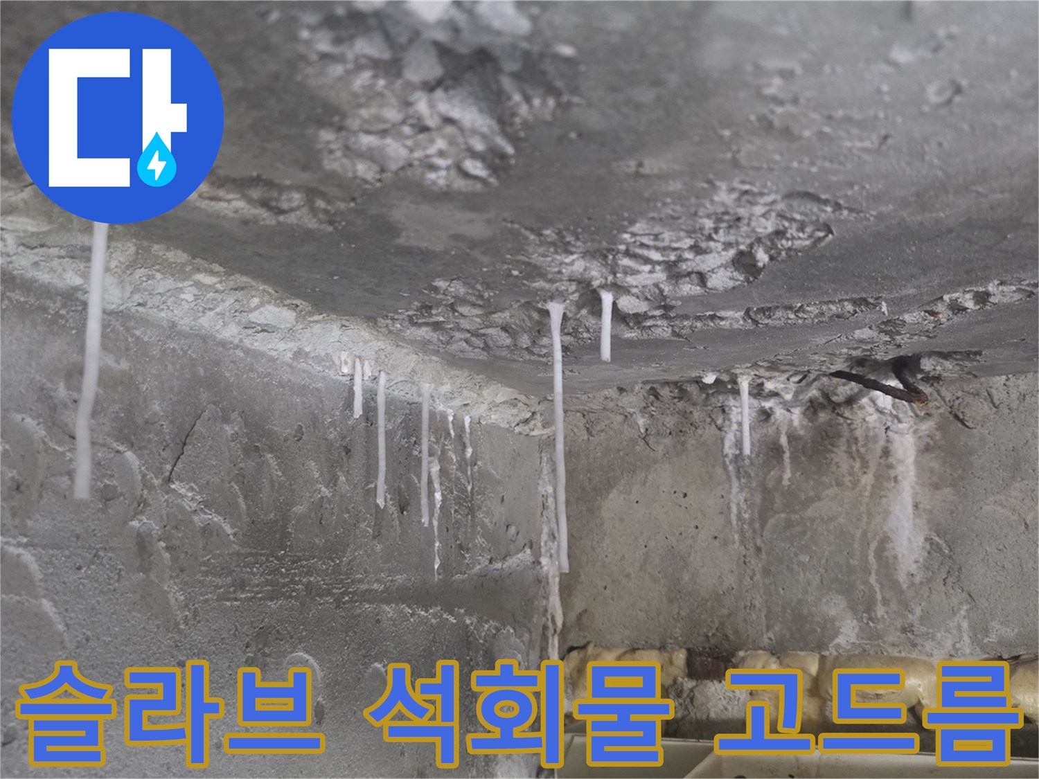 천장 콘크리트-하얗게 맺힌 석회물과 습기 상태