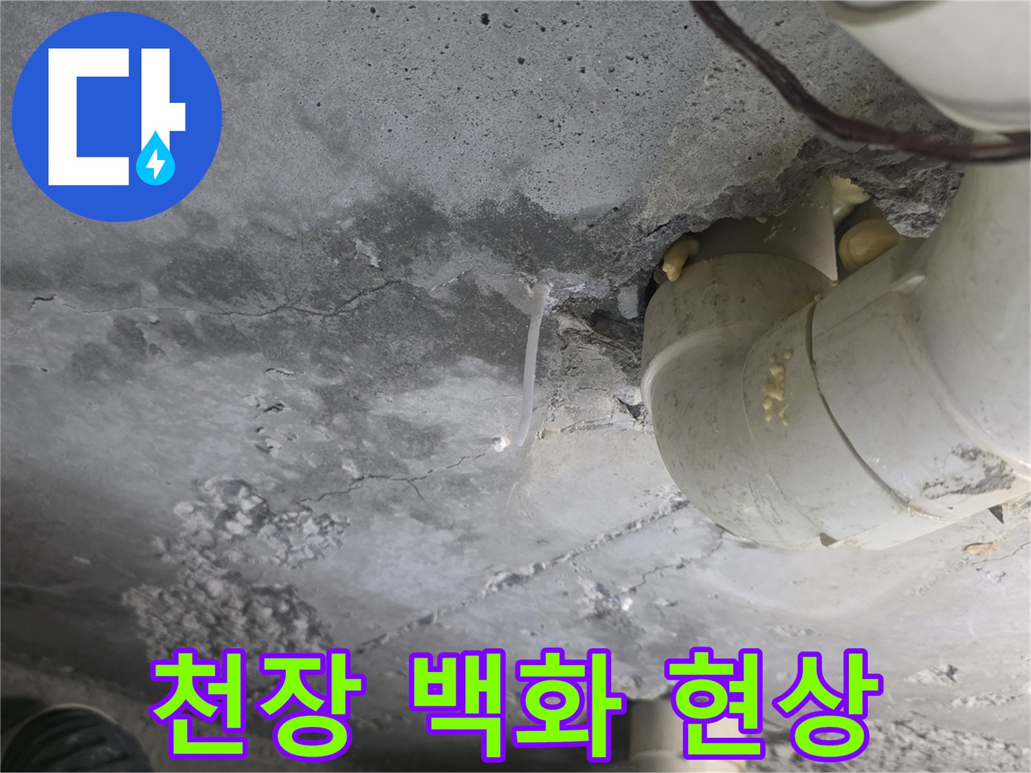 화장실 천장 콘크리트 슬라브에 발생한 하얀 백화 현상