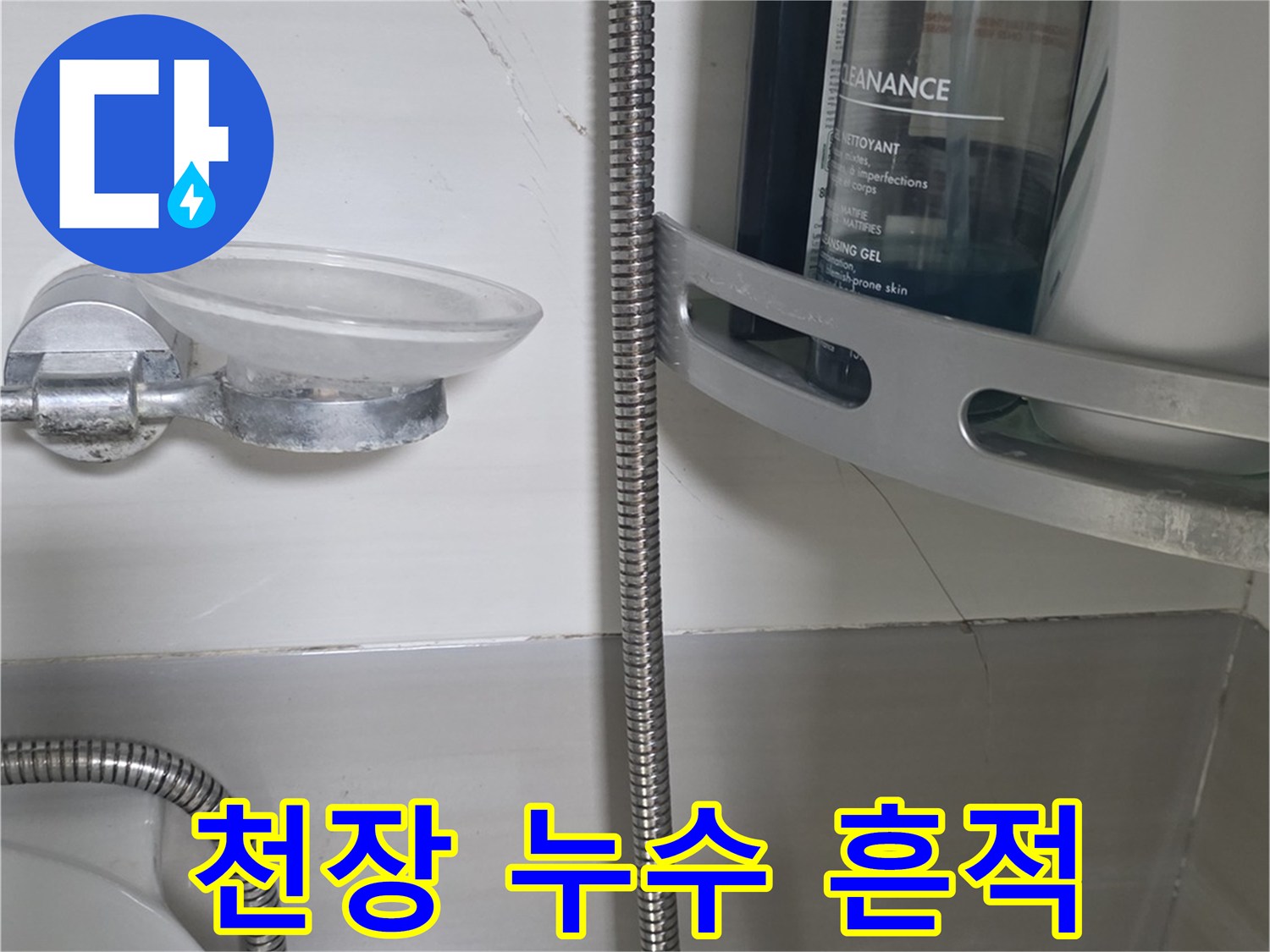 화장실-천장-타일-백화-현상-관찰