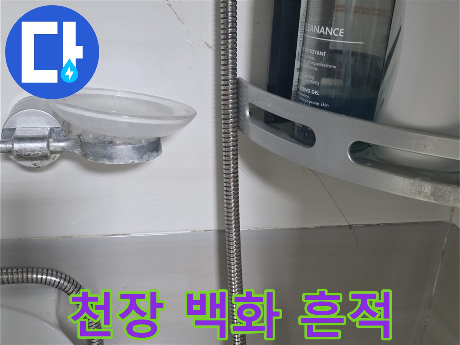 화장실-천장-타일-사이-백화현상-사진