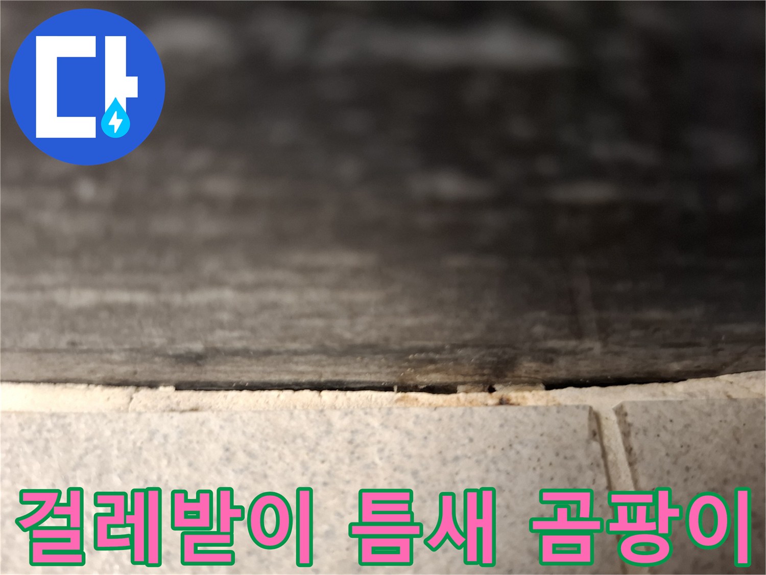 걸레받이-틈새로-스며든-곰팡이-흔적