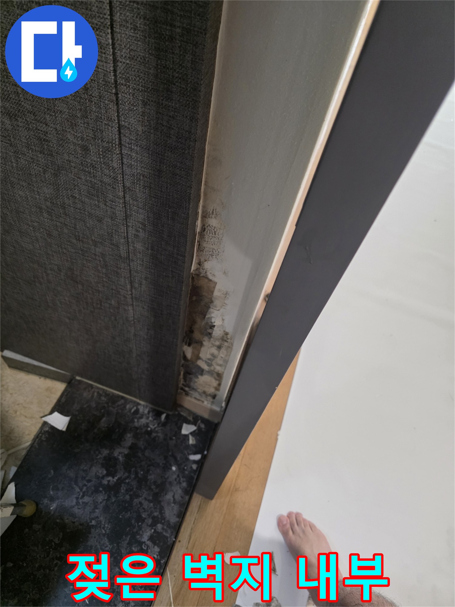 누수로 인해 곰팡이가 발생한 벽면 하단 부위