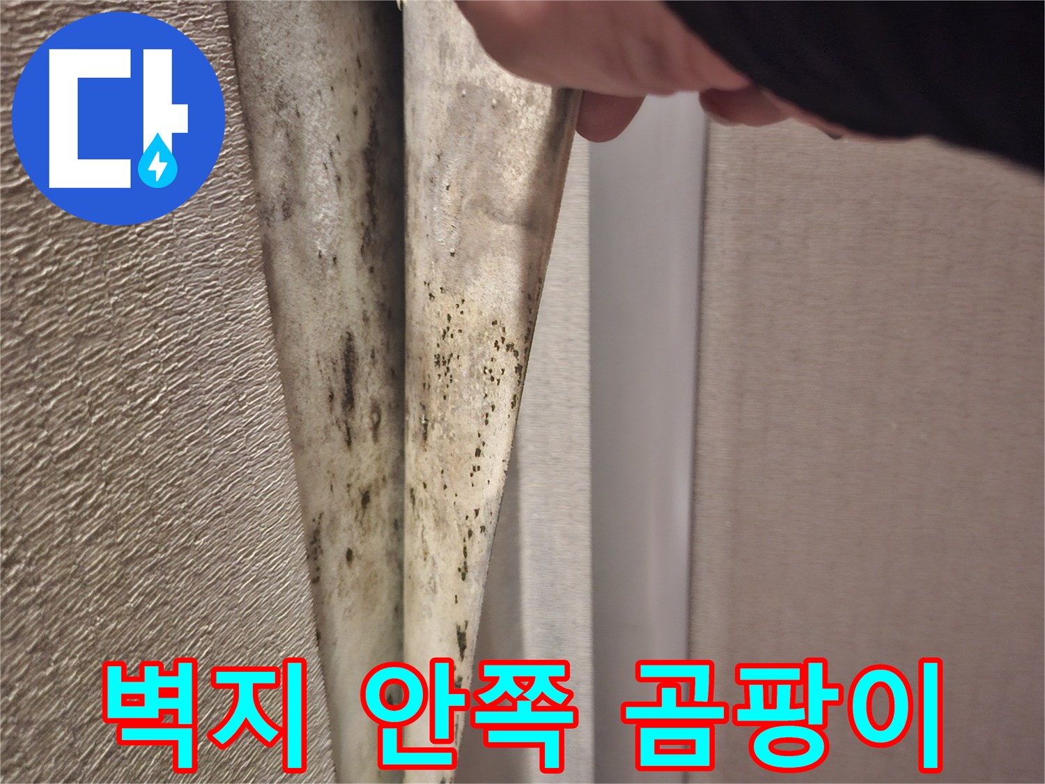 도배지-안쪽에서-발견된-심한-곰팡이-흔적