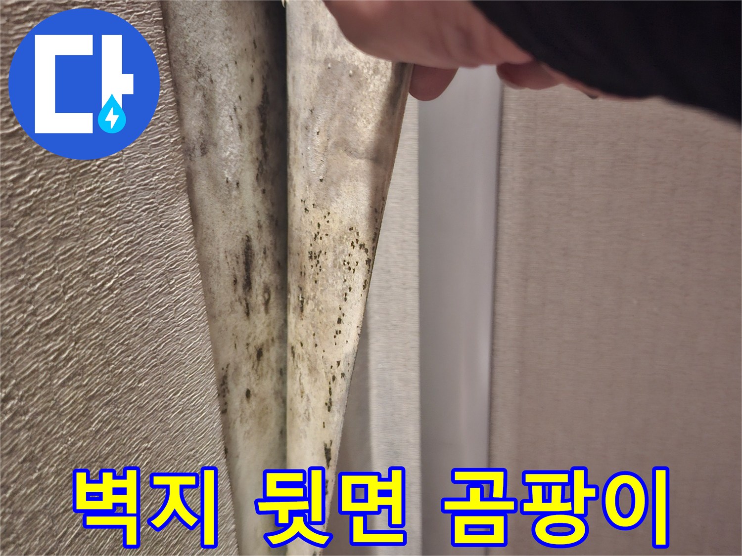 벽지-내부의-검은색-얼룩-및-곰팡이