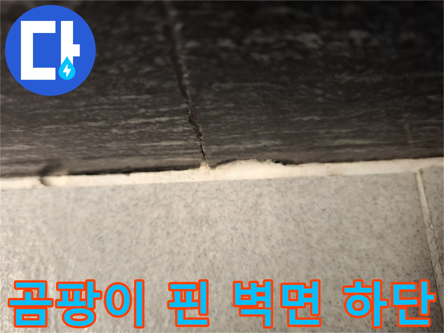 벽지-하단-부위의-심한-곰팡이-오염