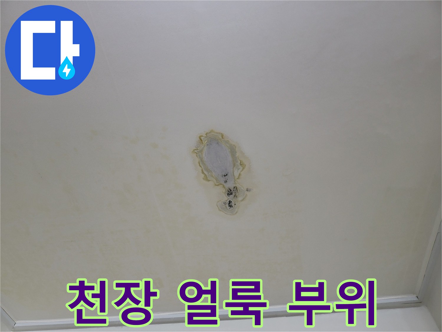 물샘-현상이-뚜렷한-아파트-천장-중앙