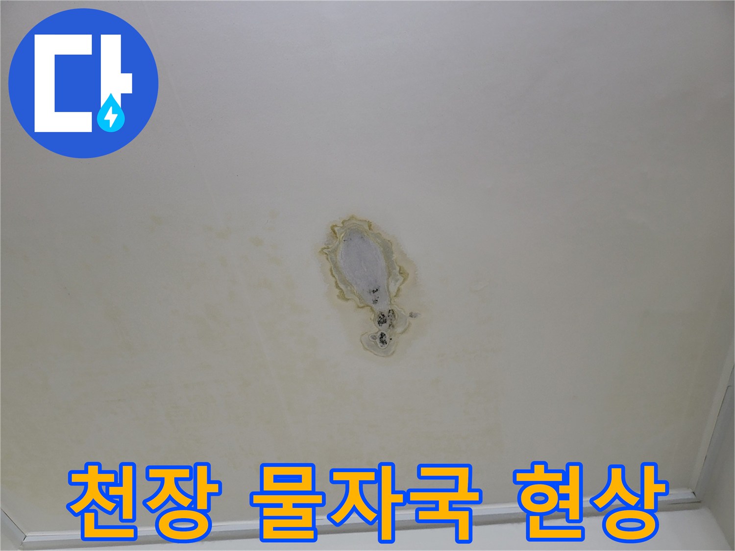 중앙 부위에 집중된 천장 누수 얼룩