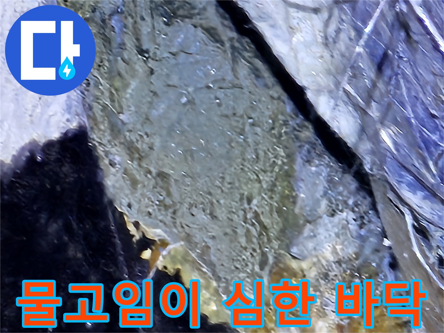 성남-분당-지하-주차장-바닥-누수-상황