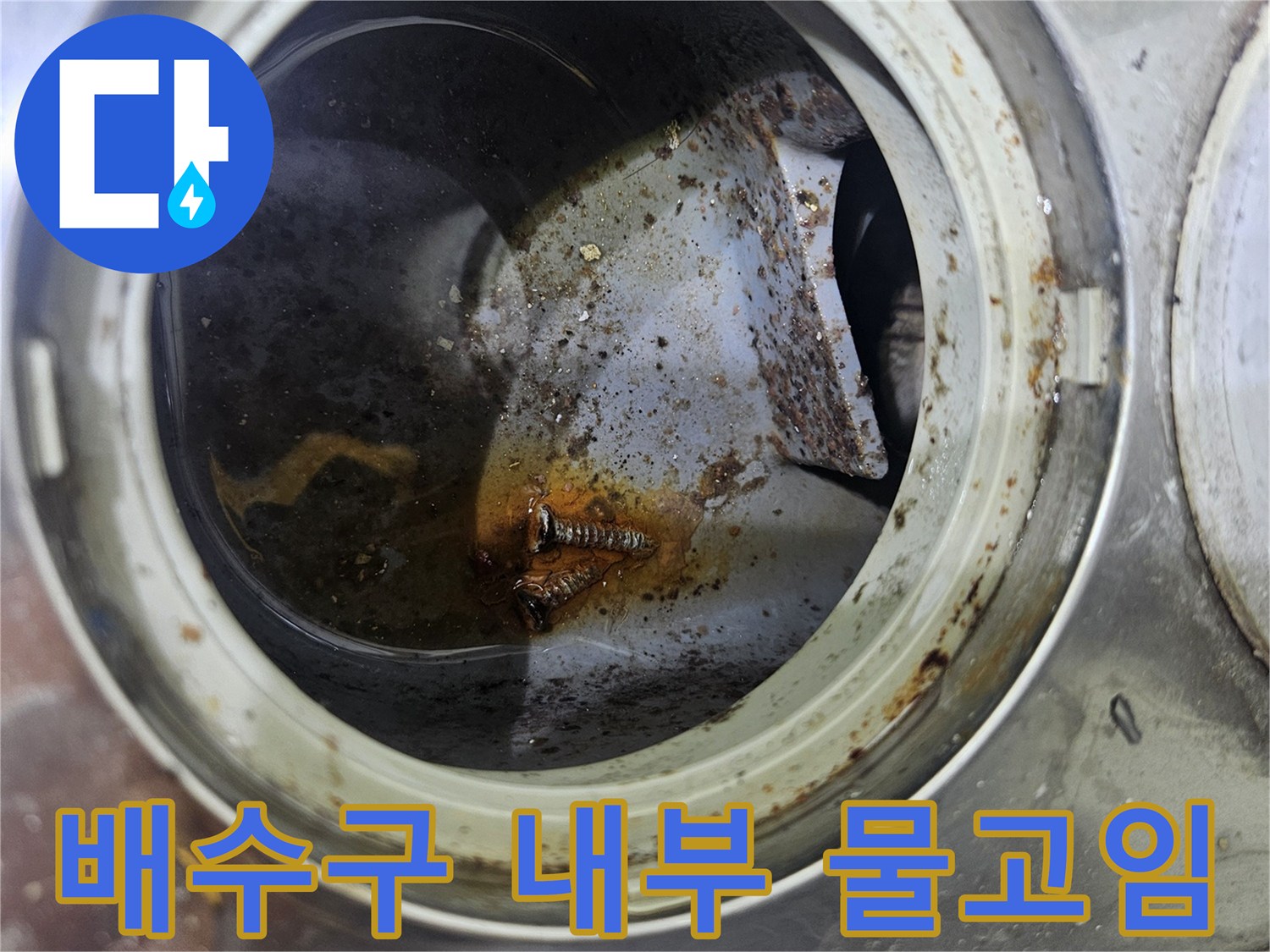 배수구-내부-물고임과-이물질-퇴적-상태