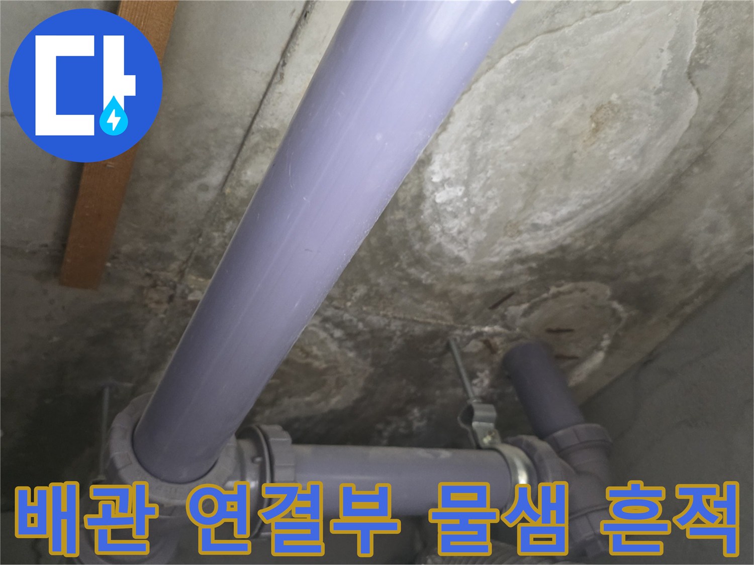 보라색 배관 연결 부위 근처의 젖은 천장 표면