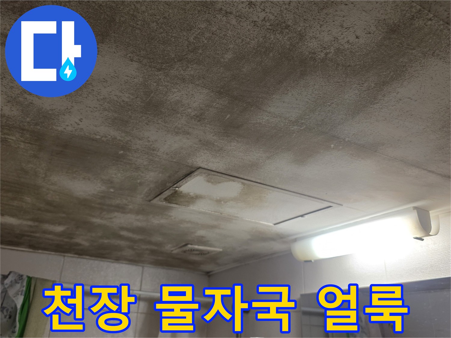 아파트-천장-부분적인-물자국-및-얼룩-상태