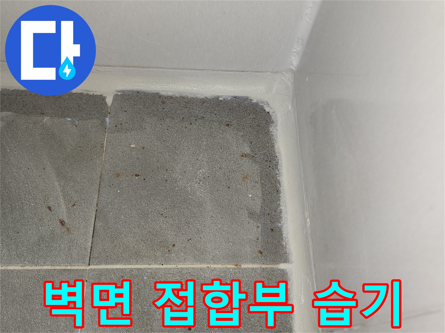 타일-경계-부분의-누수-흔적-관찰