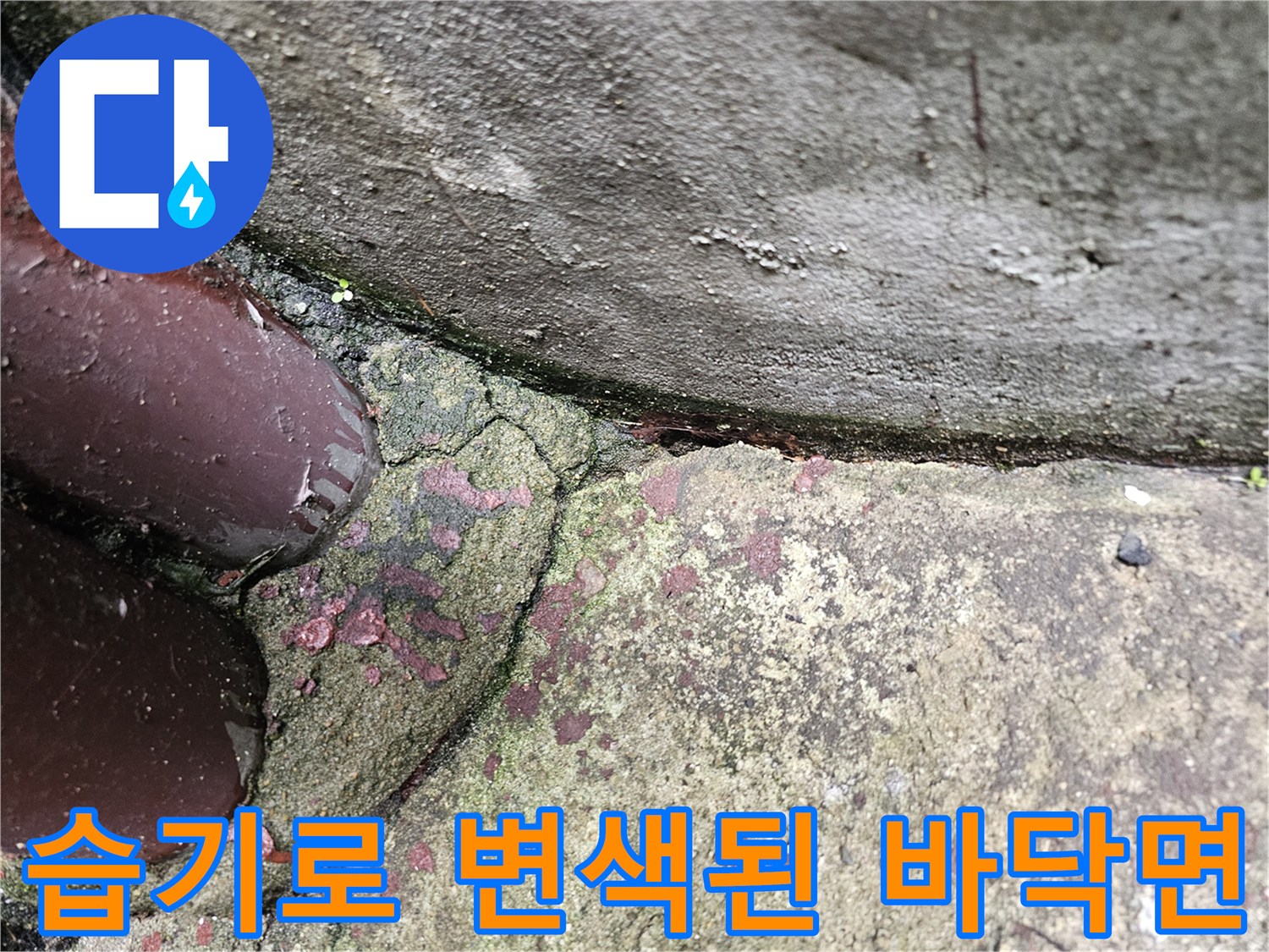 습기-머금은-콘크리트-및-타일-틈새