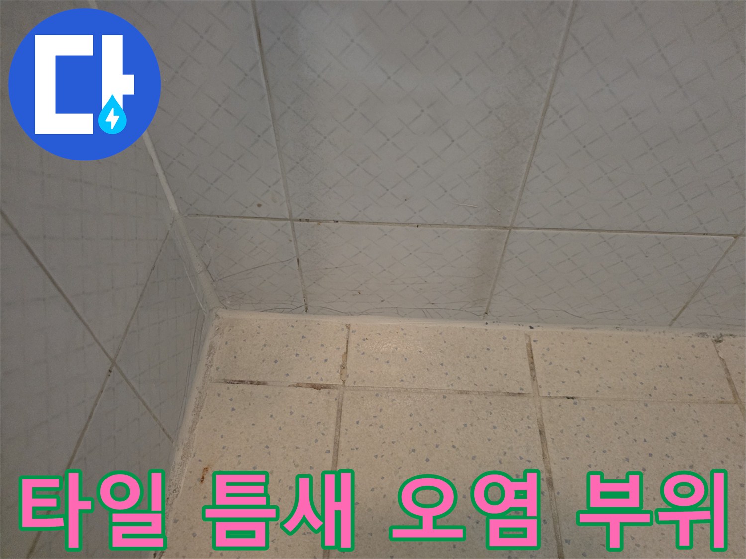 습기로-인해-어둡게-변색된-타일-경계선