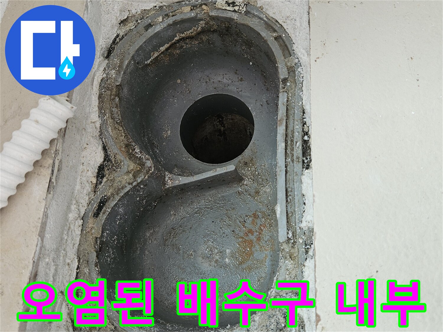 물때와-습기가-가득한-배수구-안쪽