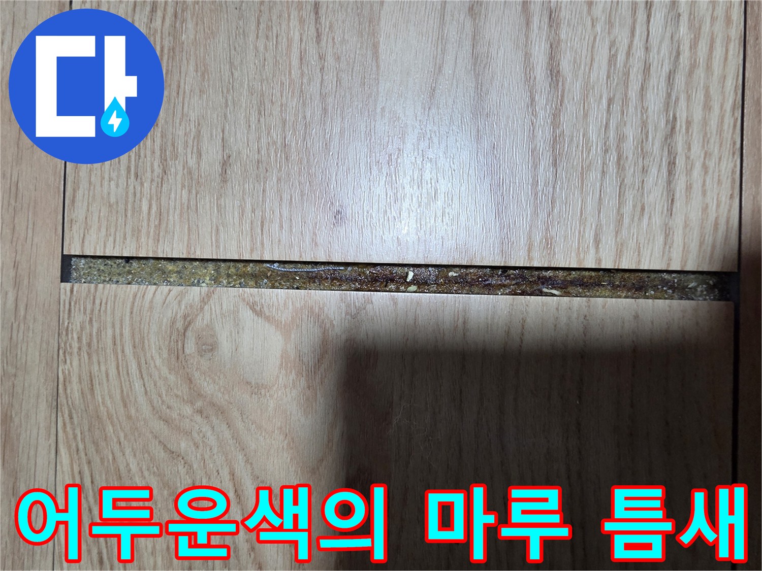 습기가 침투한-마루 사이의 어두운 변색 부위