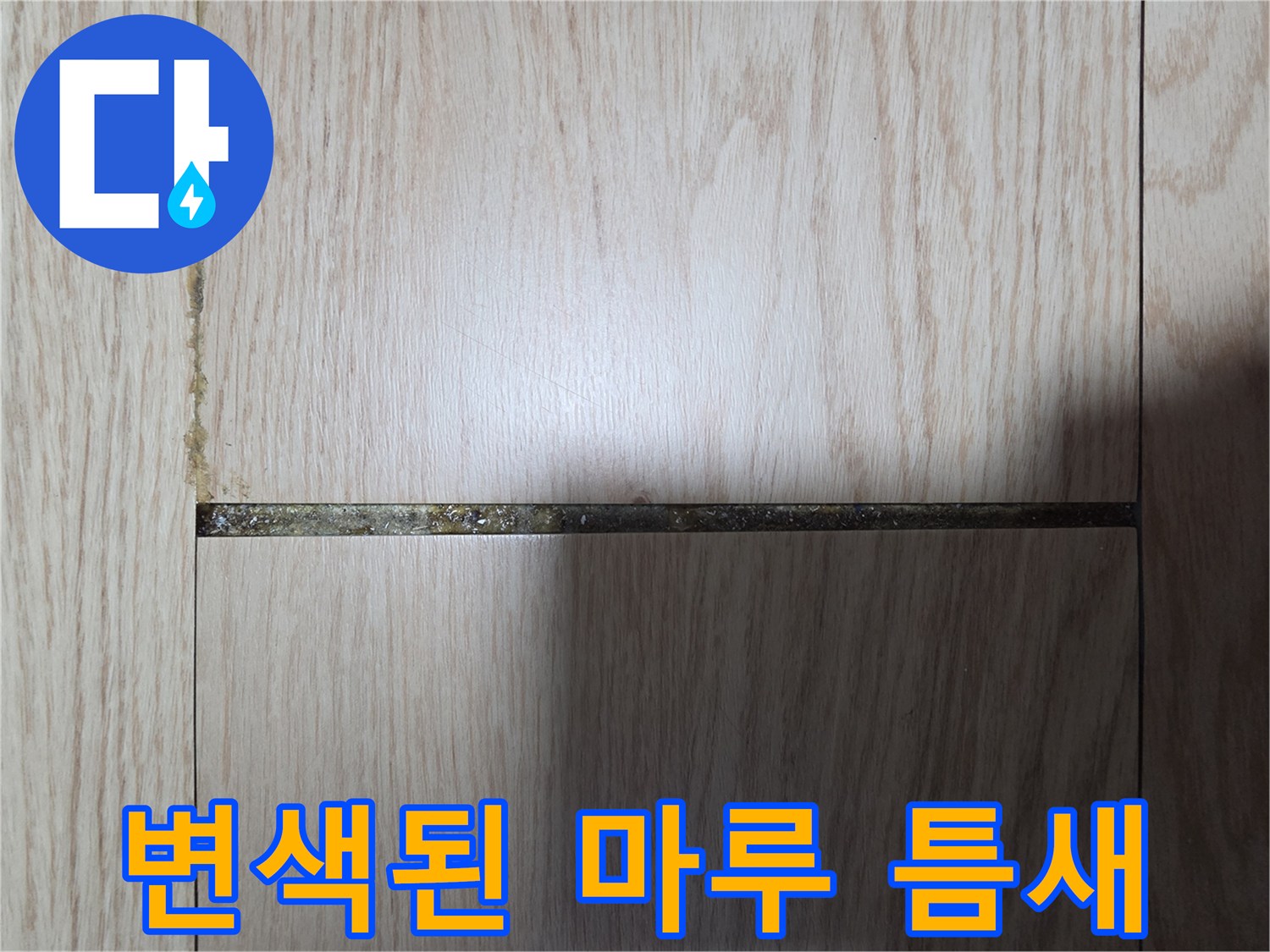 화장실 입구-마루 변색 부위 상세 사진