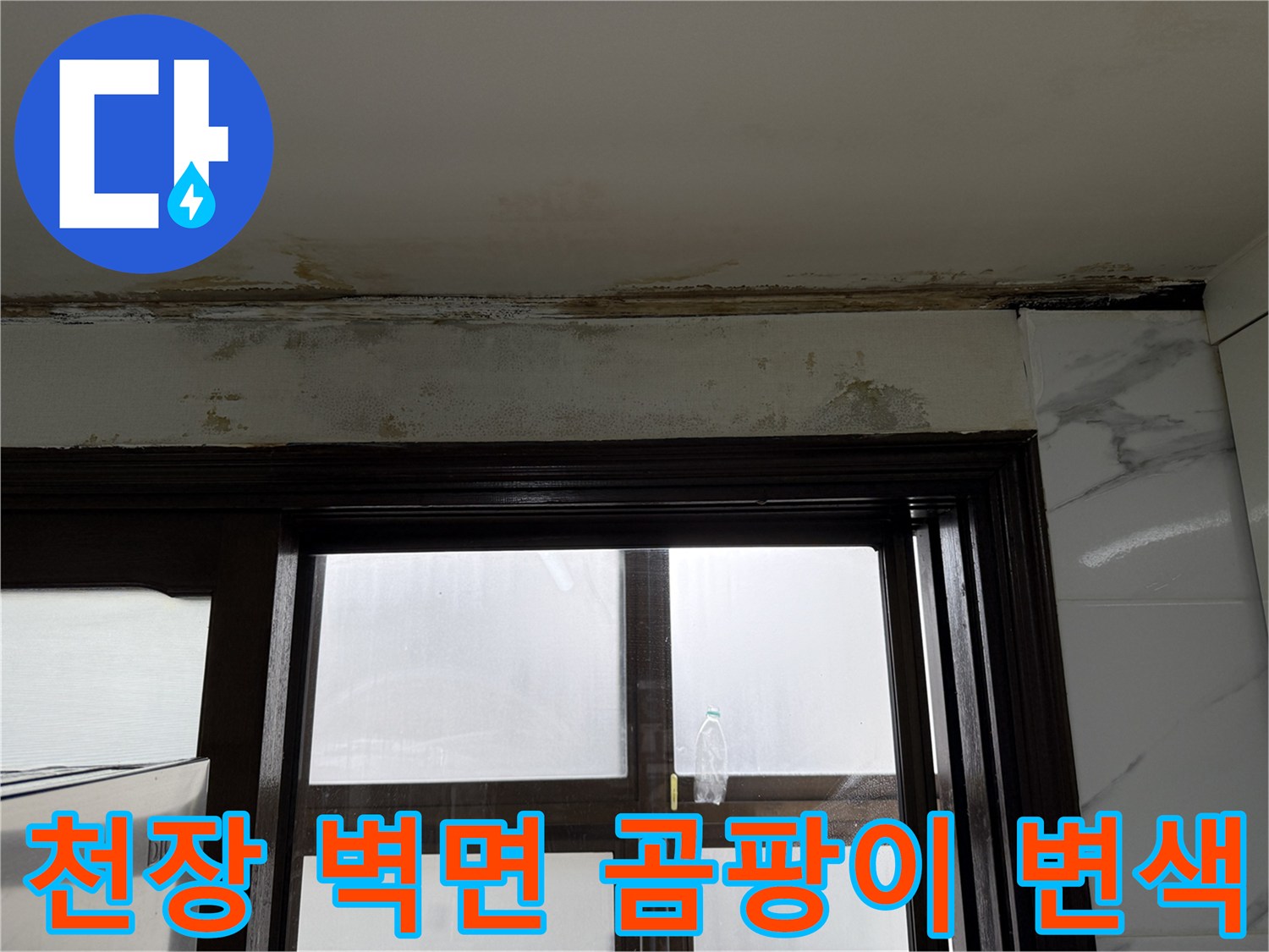 누수로 인해 발생한-천장 경계부의 곰팡이와 얼룩