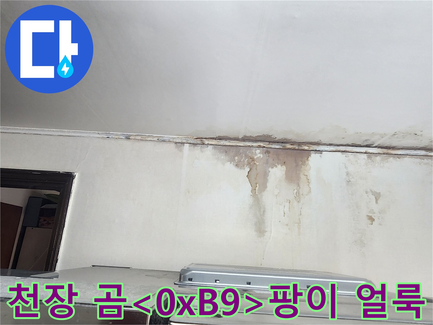 벽면을-타고-번진-누수-흔적과-곰팡이