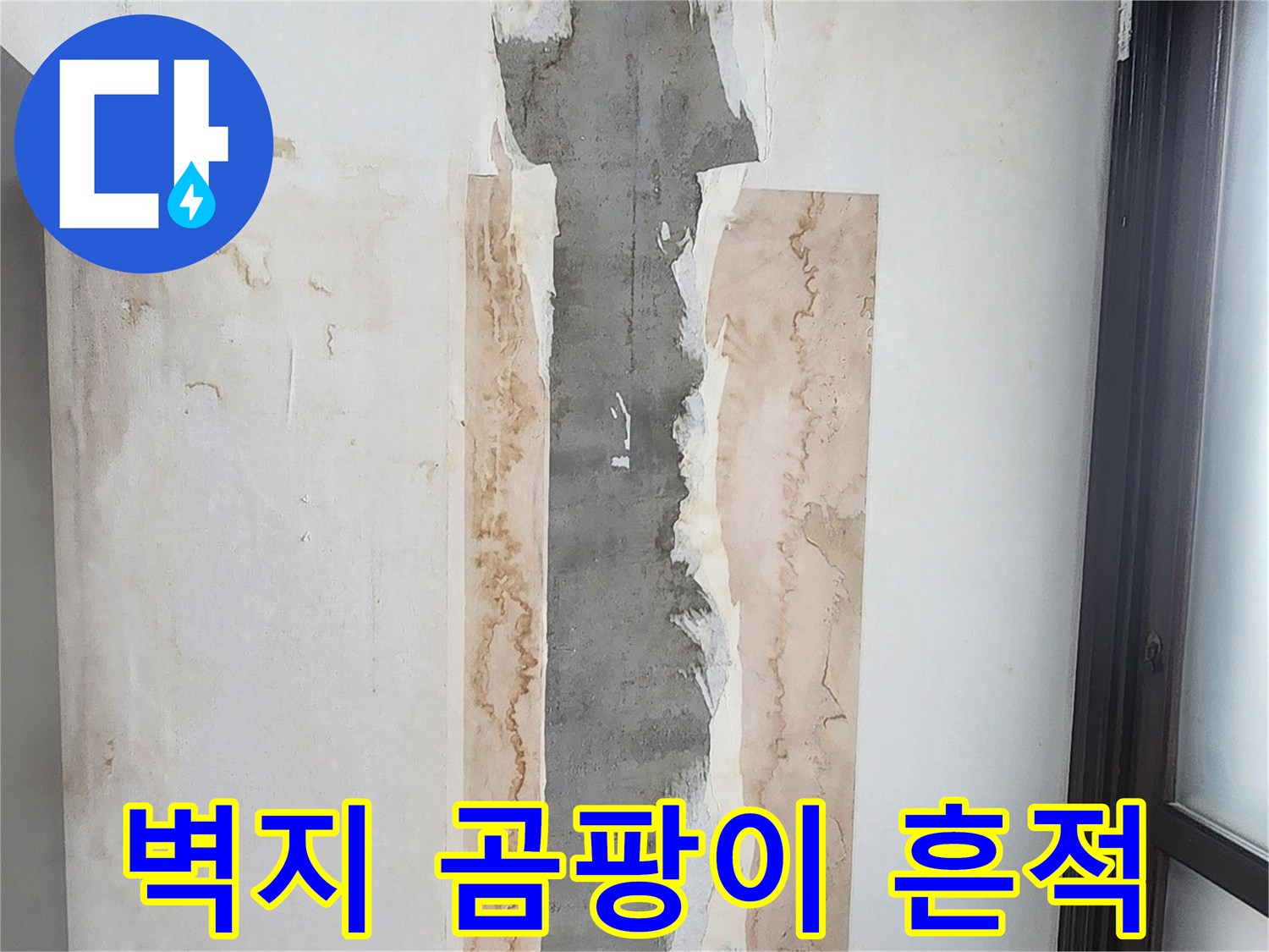 습기로-오염된-주방-천장-벽면-상태