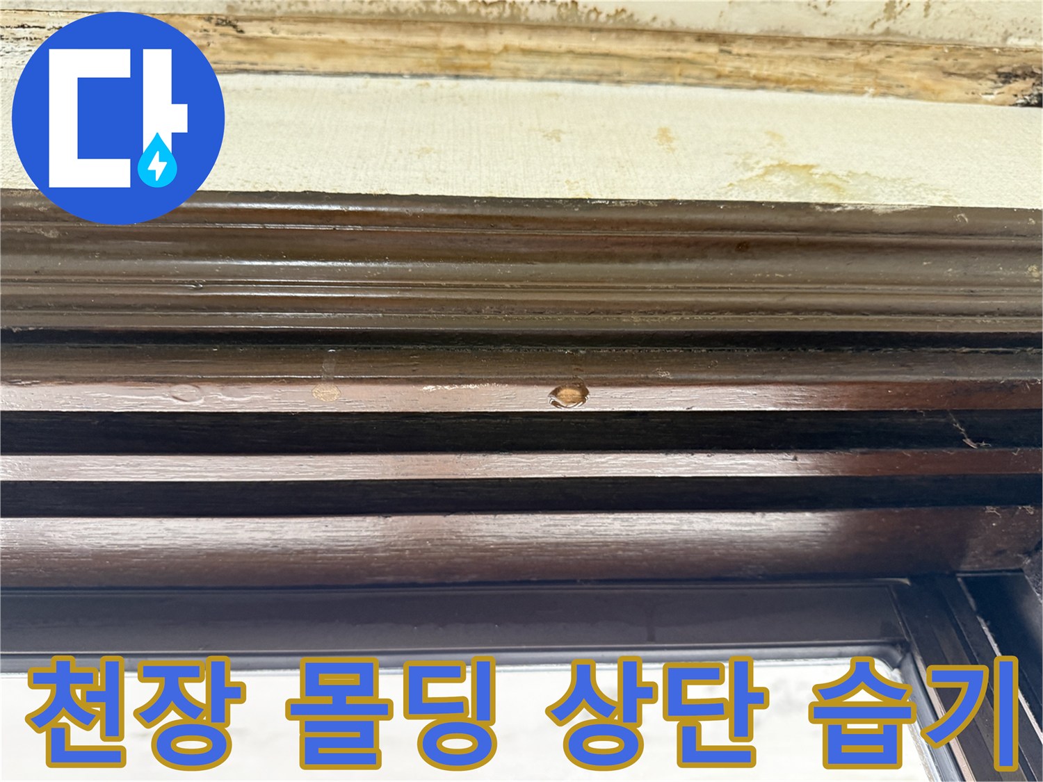 습기로-젖어있는-천장-나무-프레임