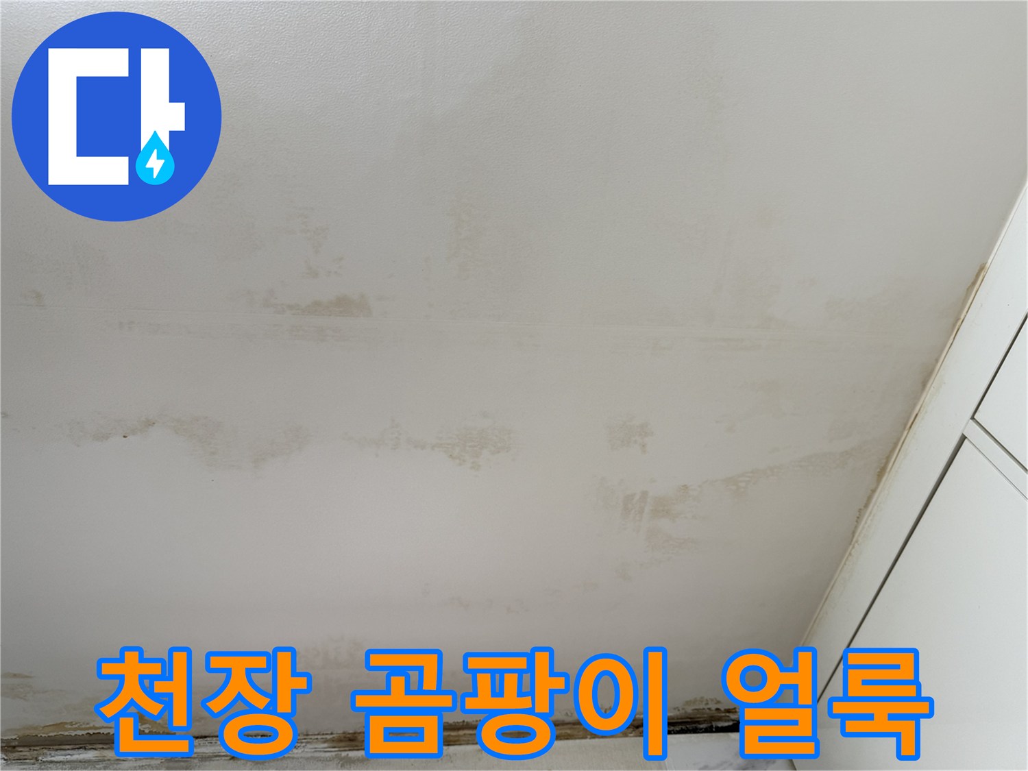 주방 천장 부위에 발생한 곰팡이와 습기 침투 흔적