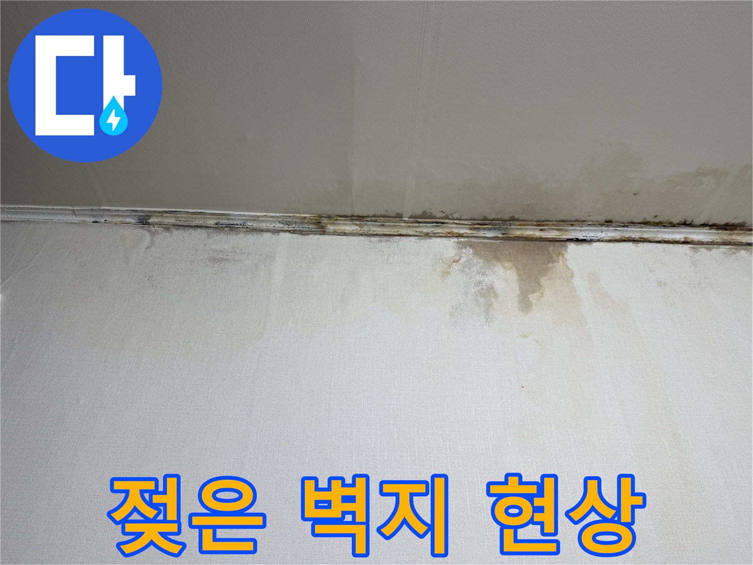 천장-과-벽면-사이의-심한-변색