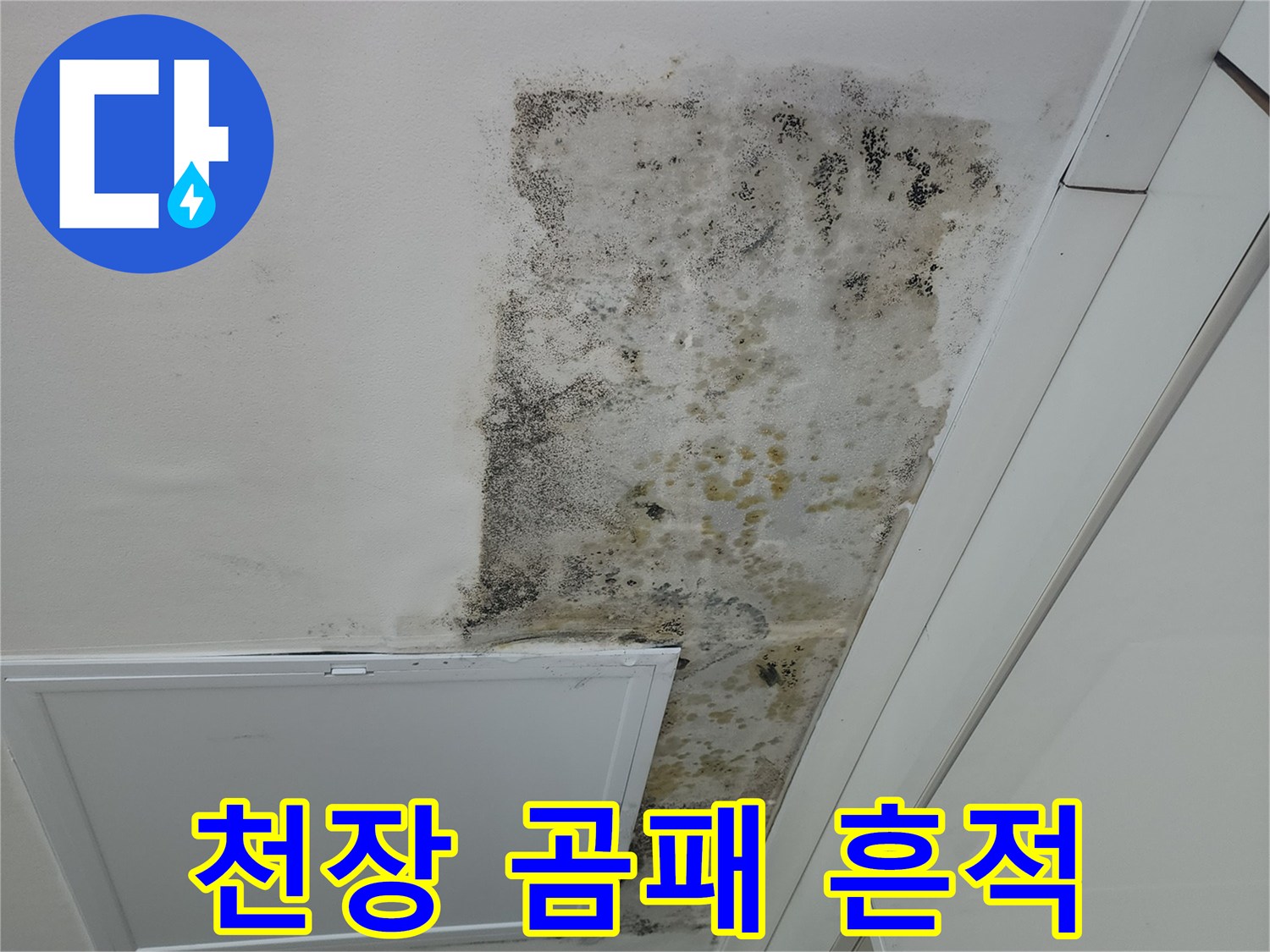 누수 피해 현장-천장에 발생한 곰팡이와 습기