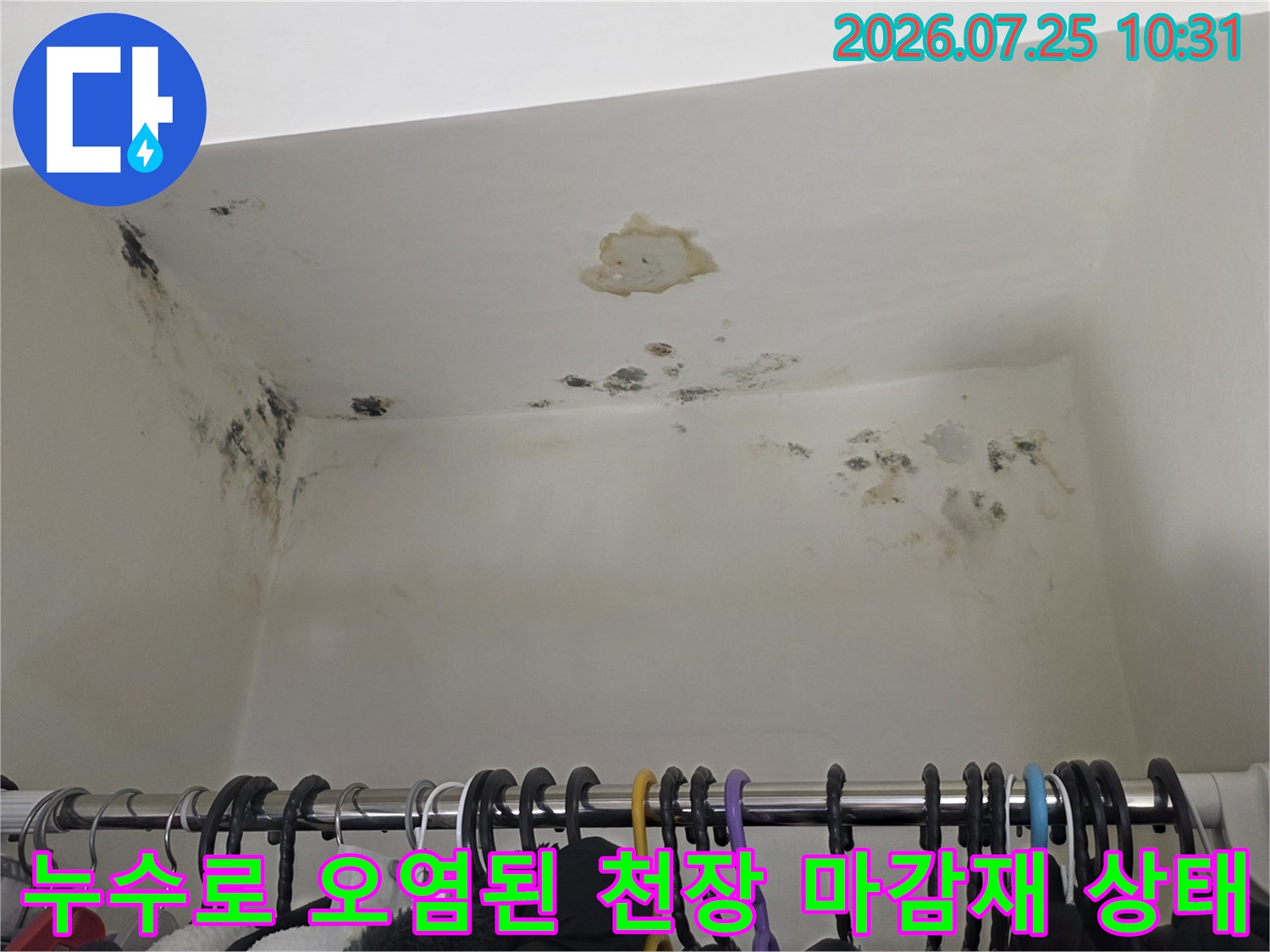 천장 중앙의 파손 부위와 모서리 쪽에 형성된 어두운 색상의 누수 곰팡이