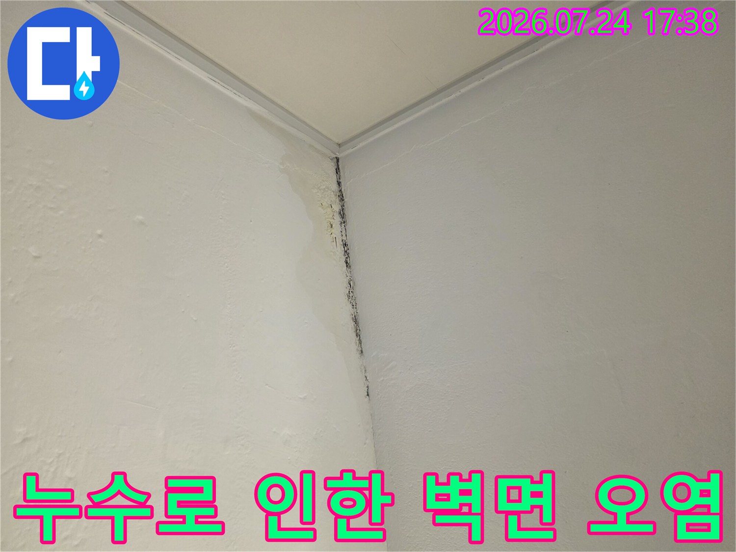 벽면 모서리 쪽에 곰팡이가 발생한 현장 사진