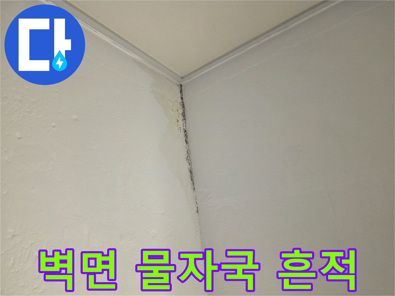 천장 모서리-벽지 변색 및 곰팡이 발생 상태
