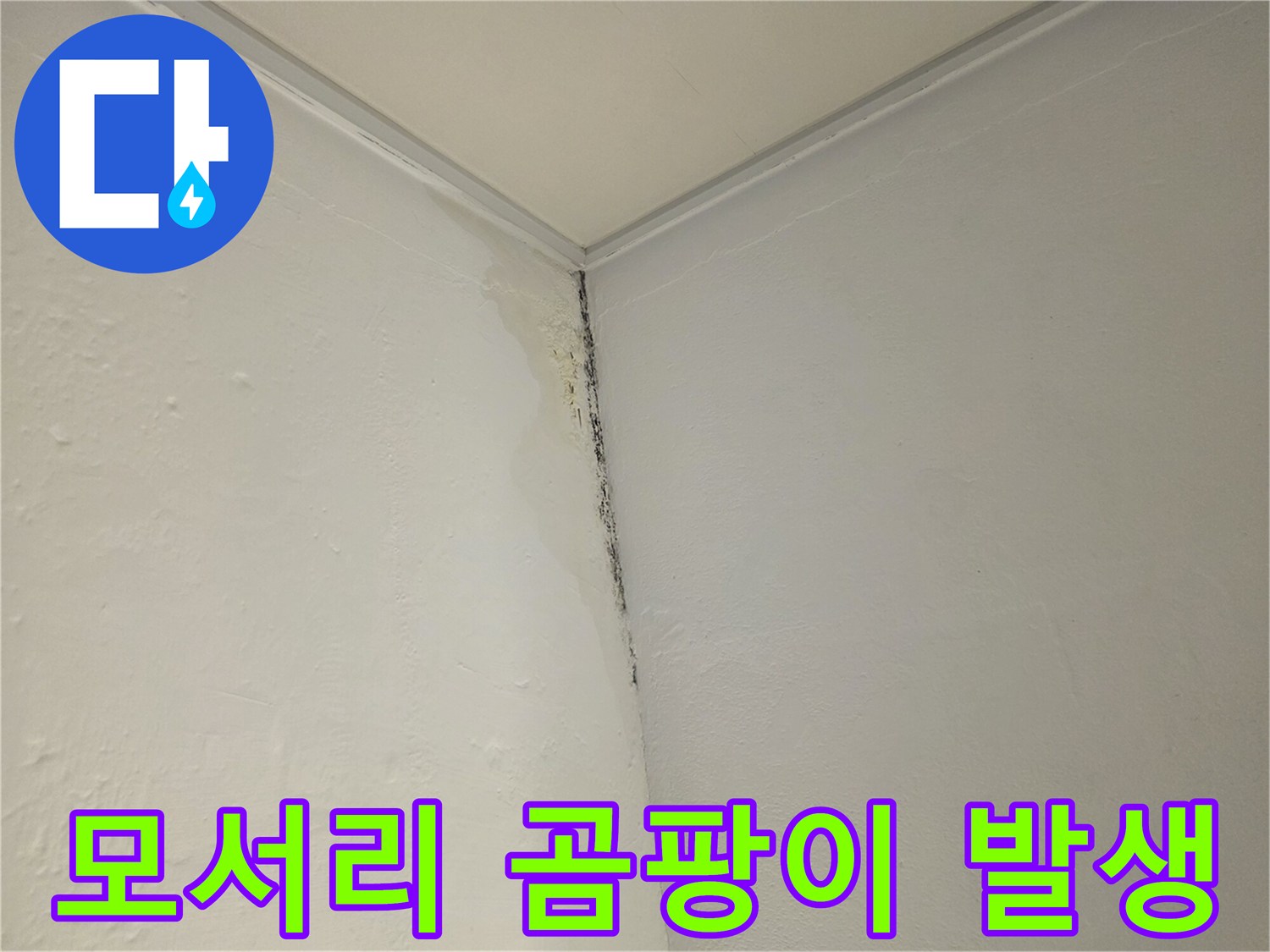 흰색 벽지-누수로 인한 젖은 자국과 곰팡이