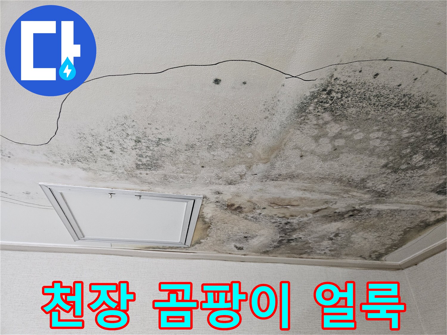 누수가 진행된 천장-광범위한 곰팡이와 습기 흔적