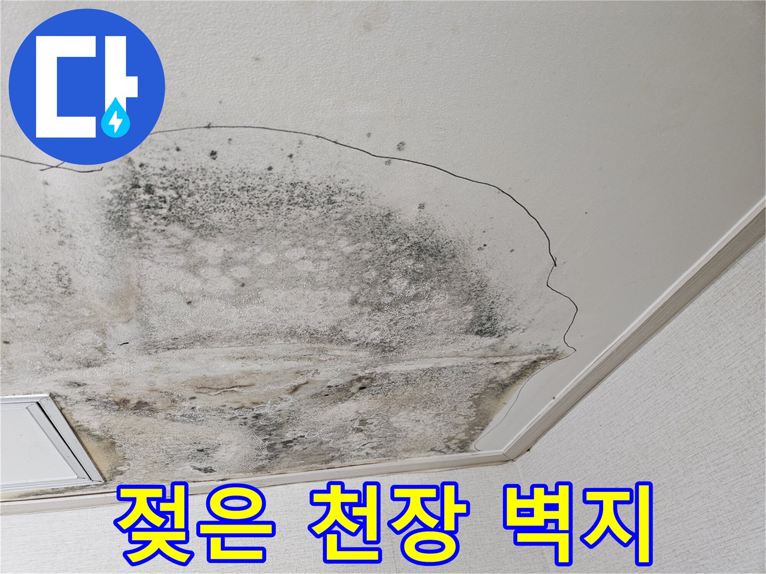 습기로-인해-변색된-천장-마감재-상태