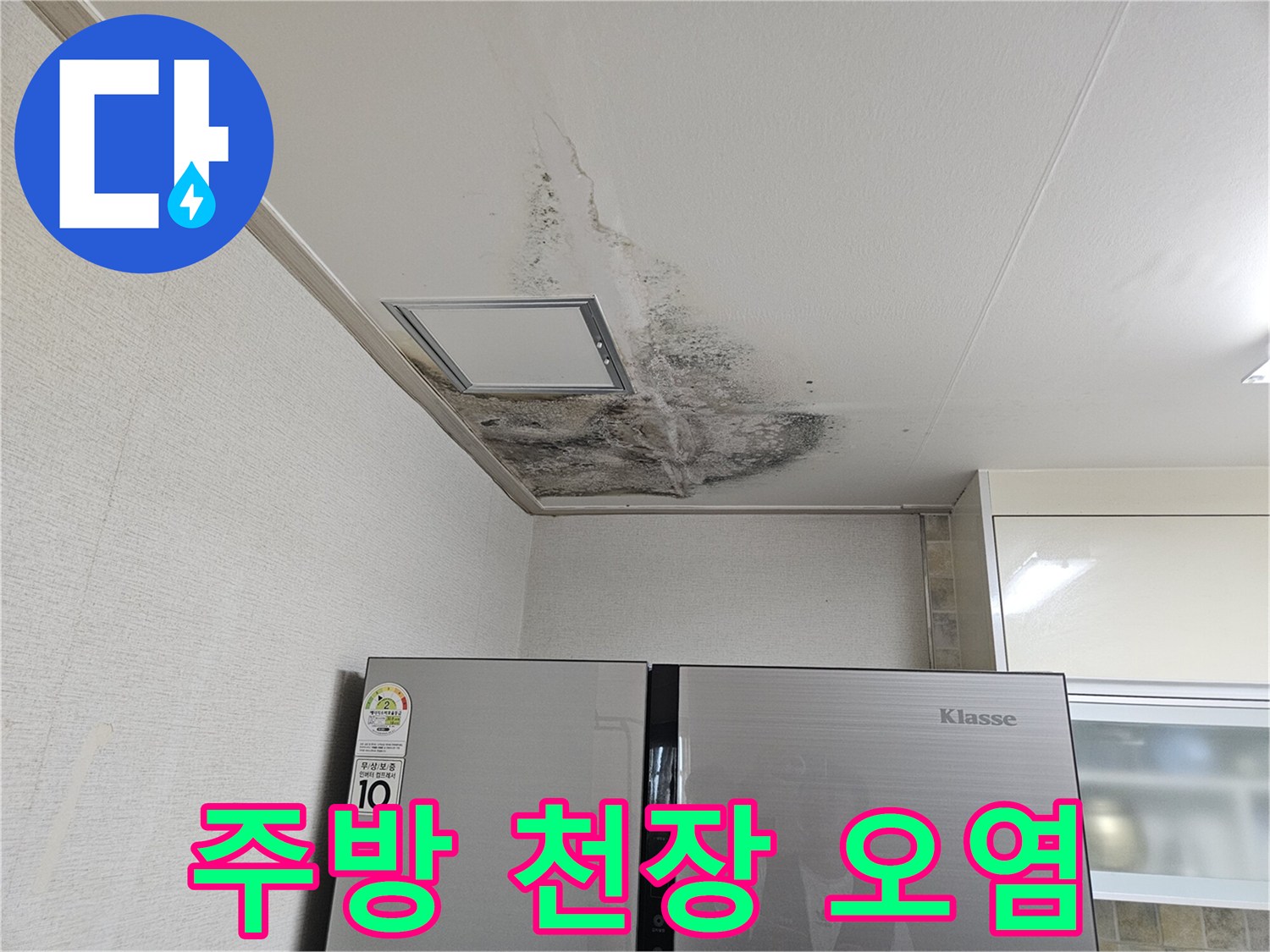 천장 점검구 주변으로 번진 검은 곰팡이와 물샘 자국