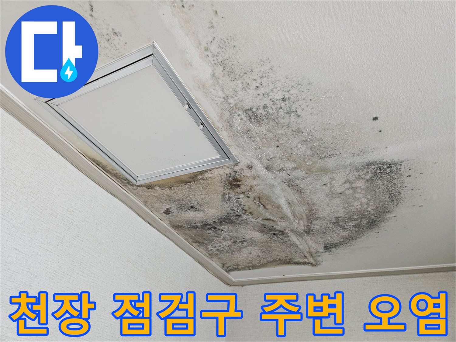 천장 점검구 틀 주변으로 번진 누수 자국과 곰팡이 얼룩
