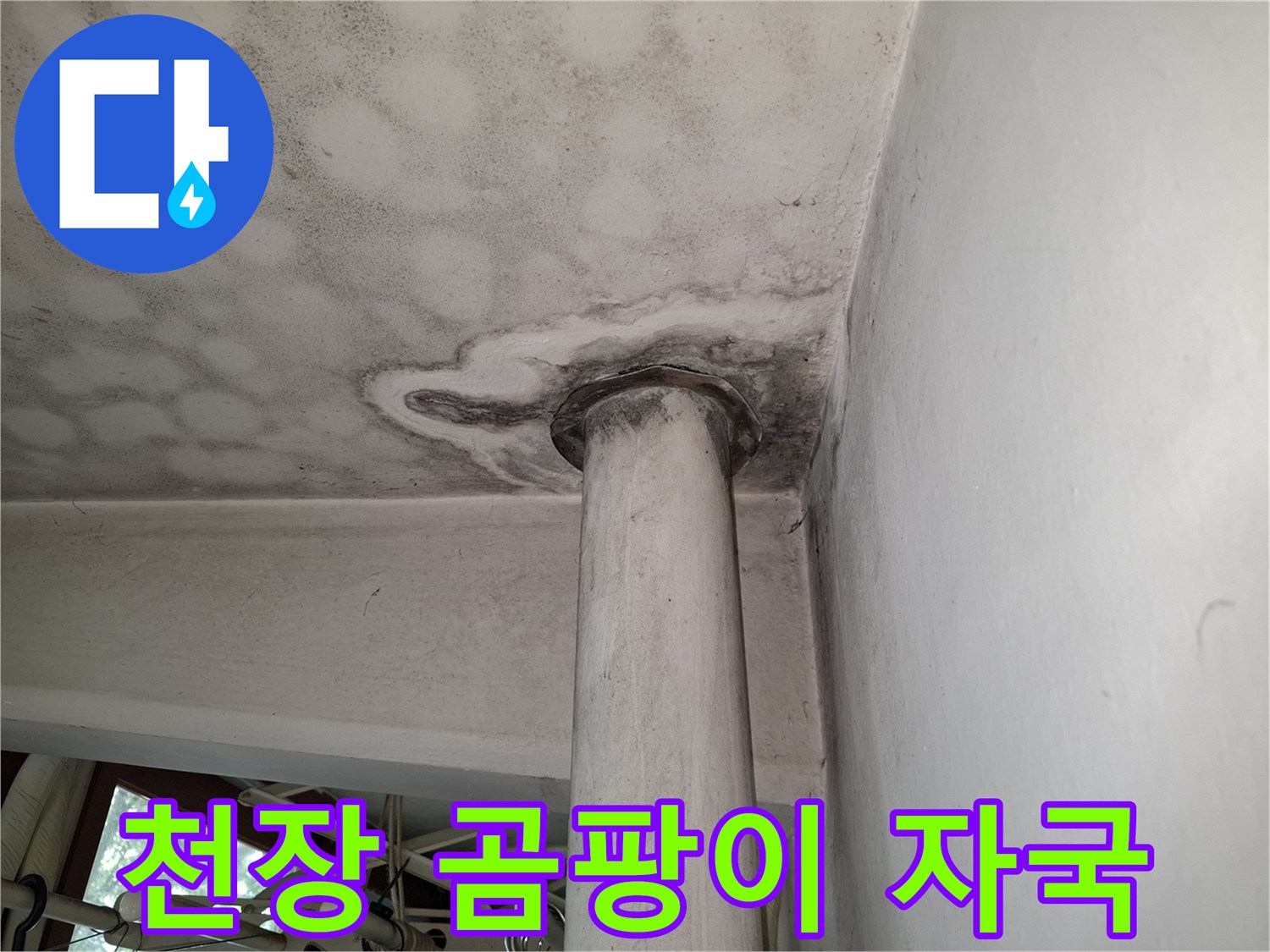 기둥 주변 천장에 나타난 광범위한 곰팡이 오염