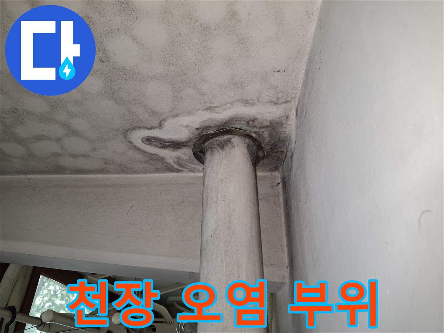 넓게 퍼진 천장의 곰팡이와 물샘 흔적 사진