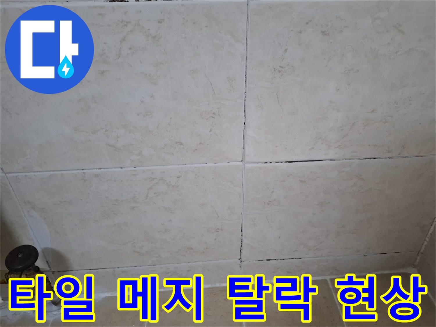 노원구 현장-탈락된 타일 줄눈 부위 촬영