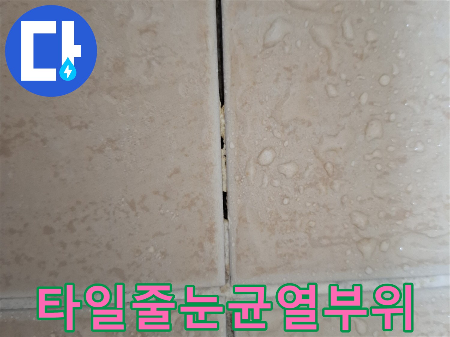 물기가 맺힌-타일 사이의 균열 상태