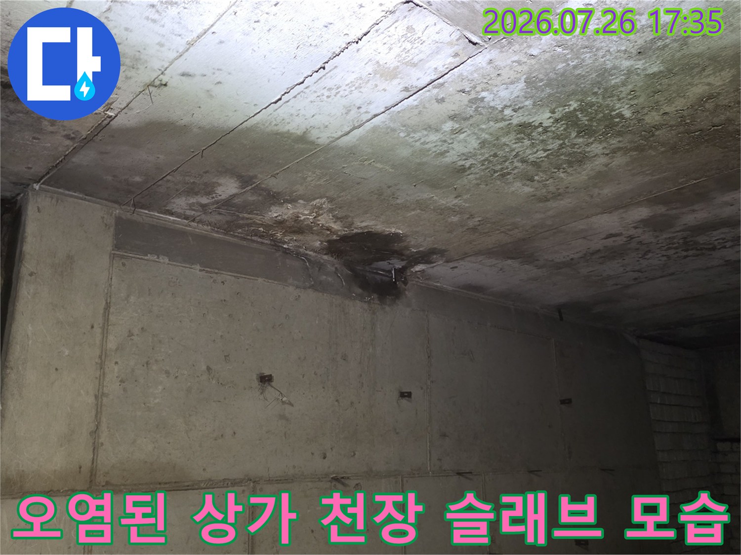 물샘으로 인해 짙게 변색되고 군데군데 곰팡이가 핀 콘크리트 천장의 전경