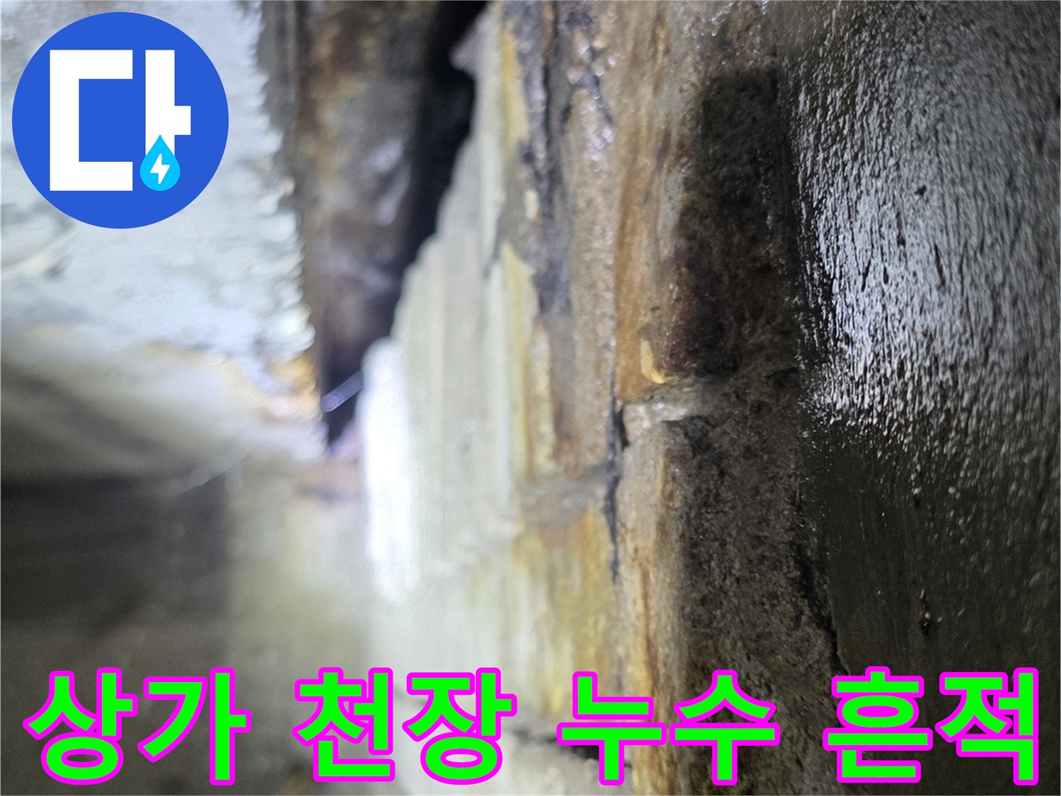 분당 수내동 상가 천장 내부의 습기와 오염된 배관 주변 모습