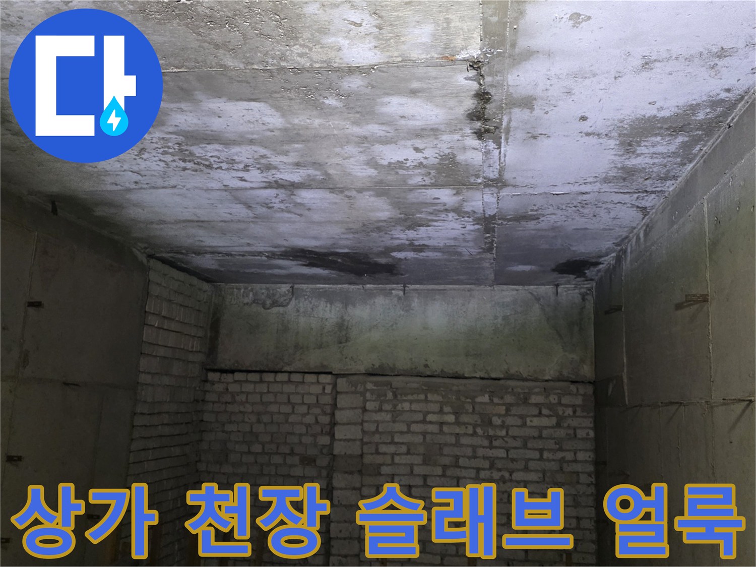 분당-수내동-상가-천장-슬래브-누수-부위-확인