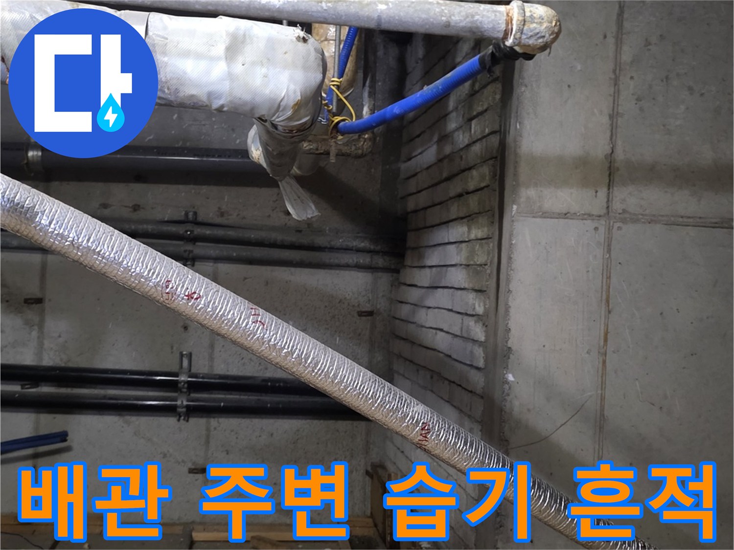 식당-주방-하부-배관-주변-습기-및-오염-상태