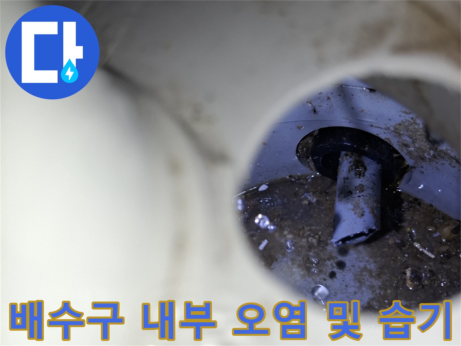 세탁실 배수구 - 젖은 상태의 배관 연결 부위 사진입니다.