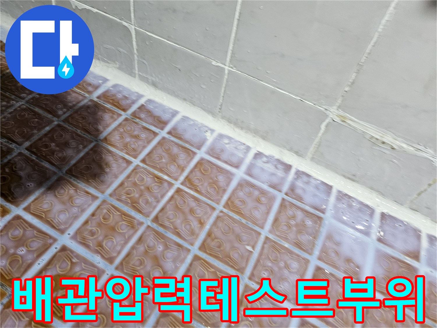 양천구-욕실-타일-및-하단-마감재-점검-모습